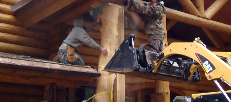 Log Home Log Replacement  Putnam County, Ohio